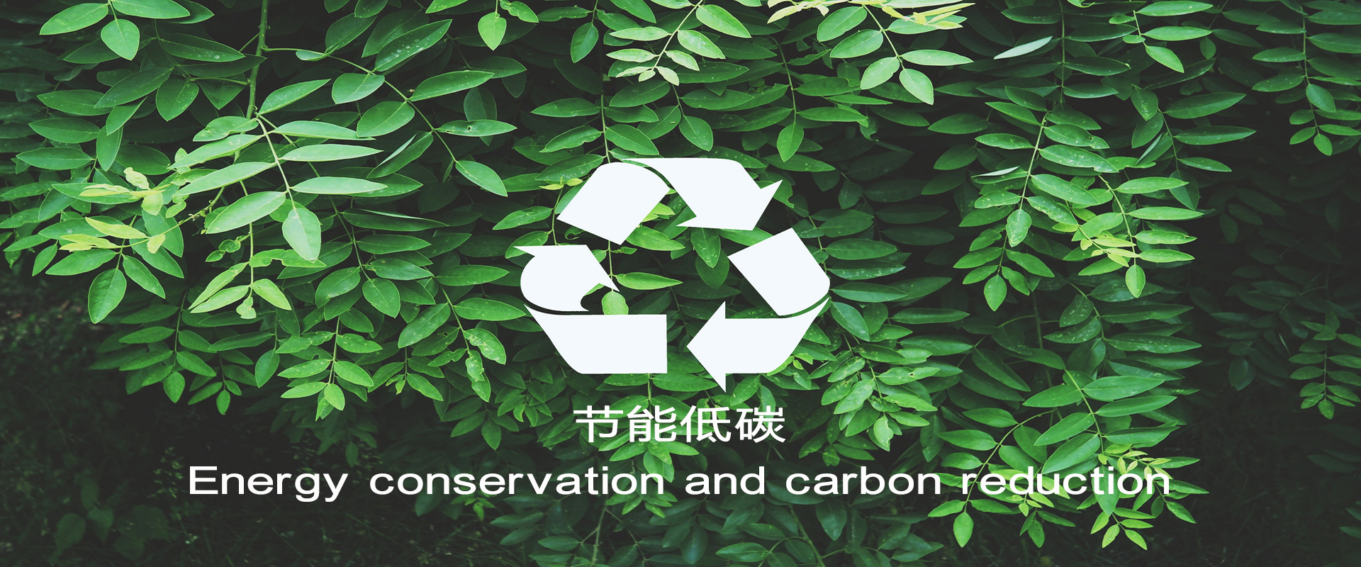 凤凰联盟平台注册·(唯一)官方网站